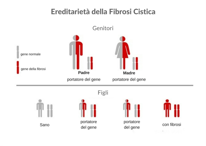 ereditarietà della fibrosi cistica come si trasmette geneticamente la fibrosi cistica